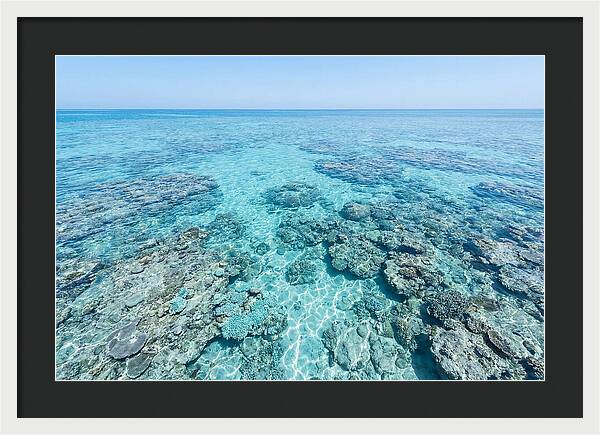 Reef Formations Beneath The Surface