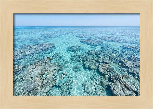 Reef Formations Beneath The Surface