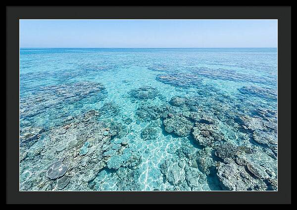 Reef Formations Beneath The Surface