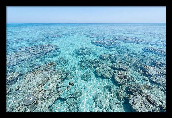 Reef Formations Beneath The Surface