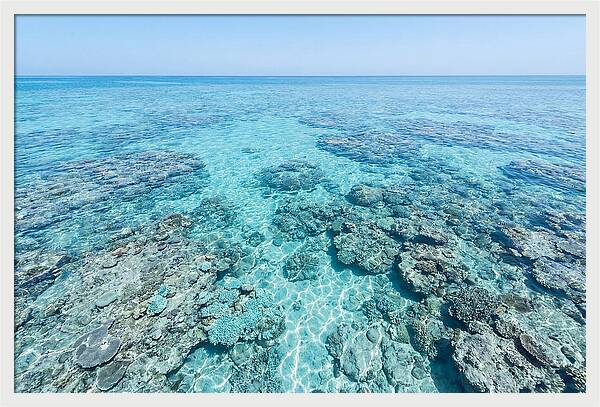 Reef Formations Beneath The Surface