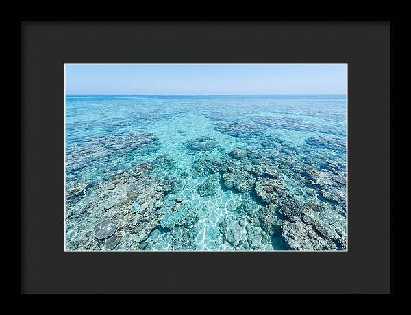 Reef Formations Beneath The Surface