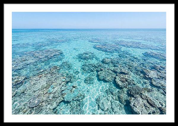 Reef Formations Beneath The Surface