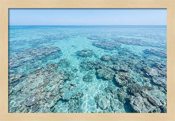 Reef Formations Beneath The Surface