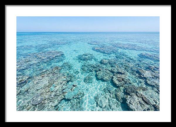 Reef Formations Beneath The Surface