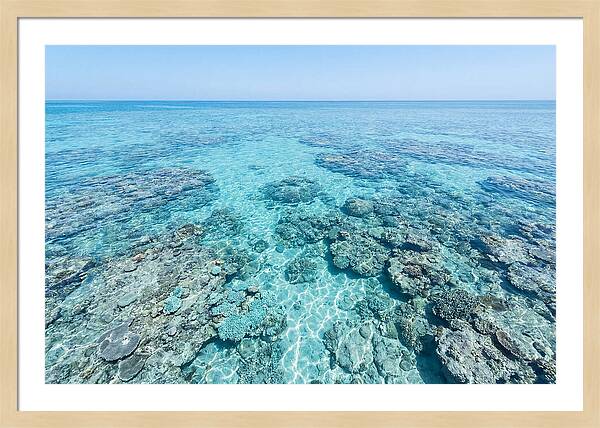Reef Formations Beneath The Surface