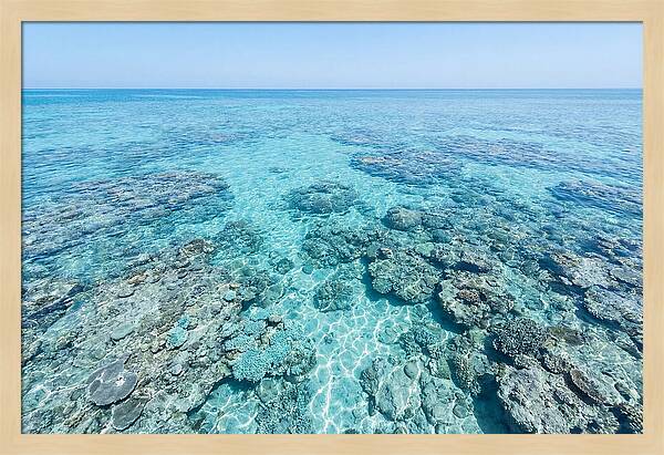 Reef Formations Beneath The Surface