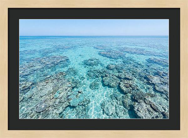 Reef Formations Beneath The Surface