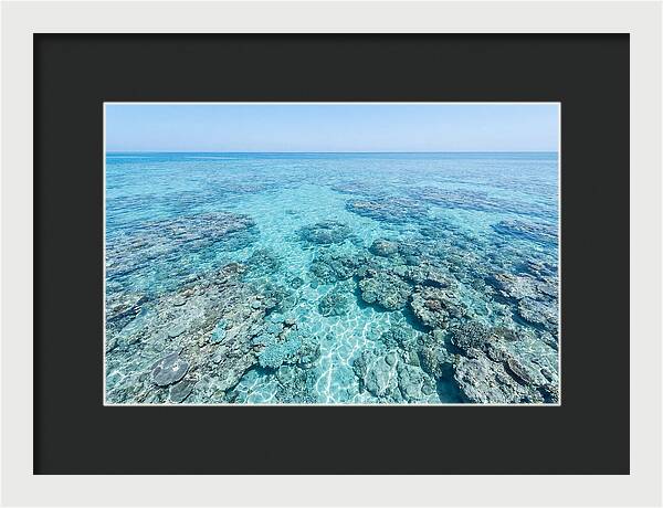 Reef Formations Beneath The Surface