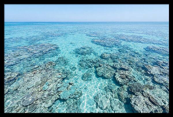 Reef Formations Beneath The Surface