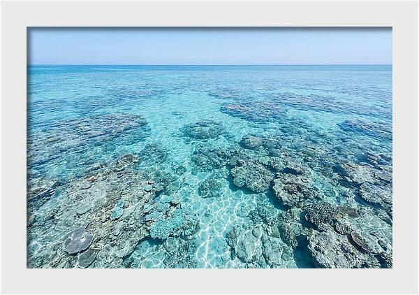 Reef Formations Beneath The Surface