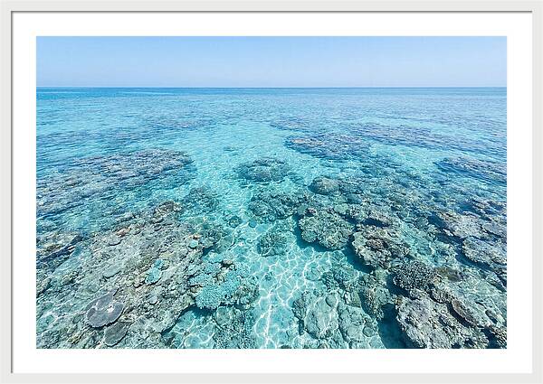 Reef Formations Beneath The Surface
