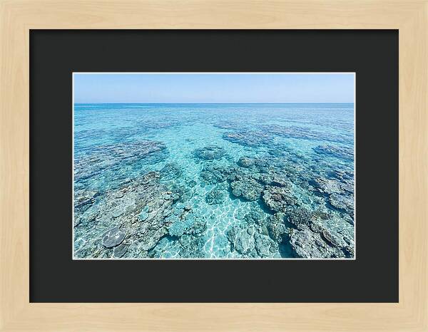 Reef Formations Beneath The Surface