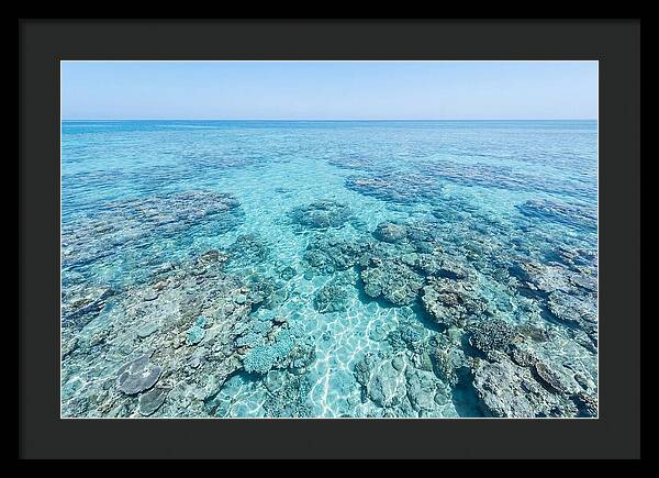 Reef Formations Beneath The Surface