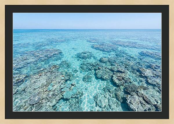 Reef Formations Beneath The Surface
