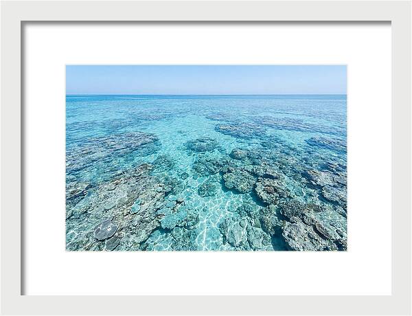 Reef Formations Beneath The Surface