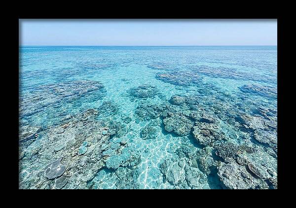 Reef Formations Beneath The Surface
