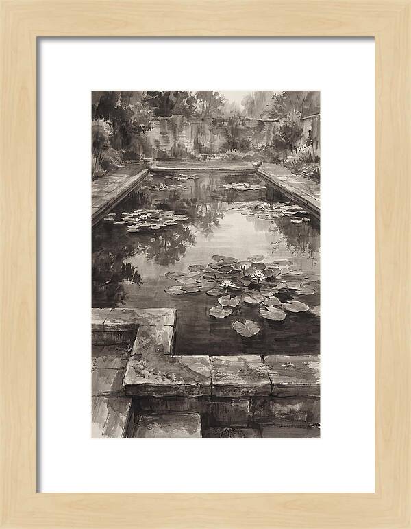 Reflecting Pool Serenity