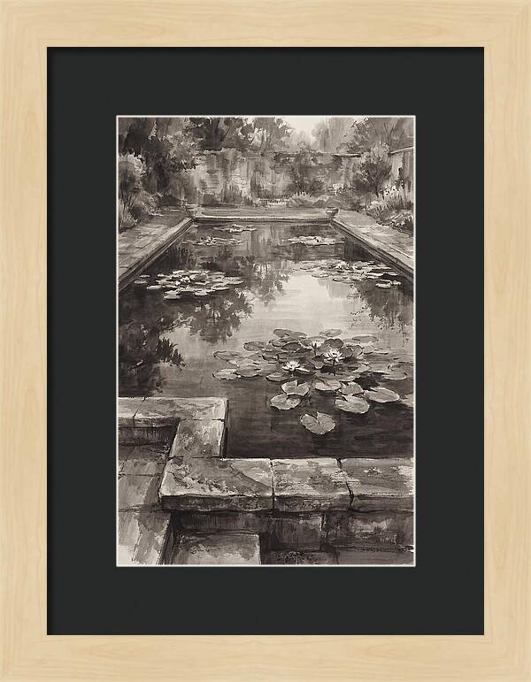 Reflecting Pool Serenity
