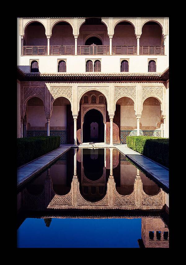 Reflections In The Court Of Myrtles