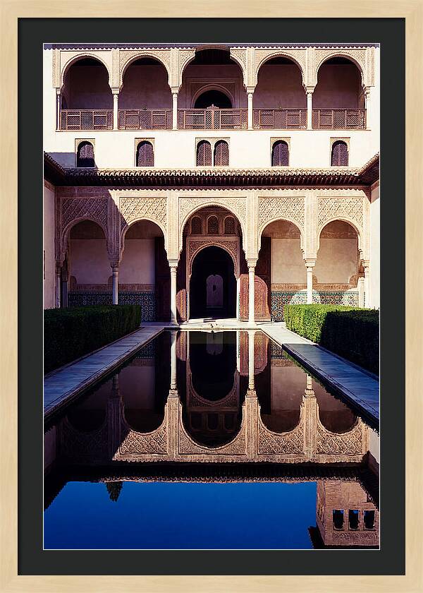 Reflections In The Court Of Myrtles