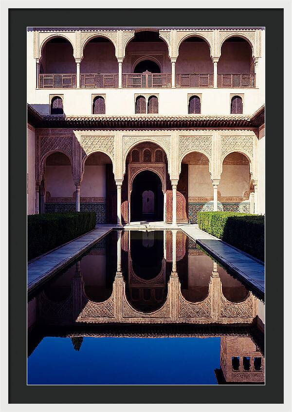 Reflections In The Court Of Myrtles