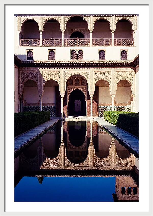 Reflections In The Court Of Myrtles