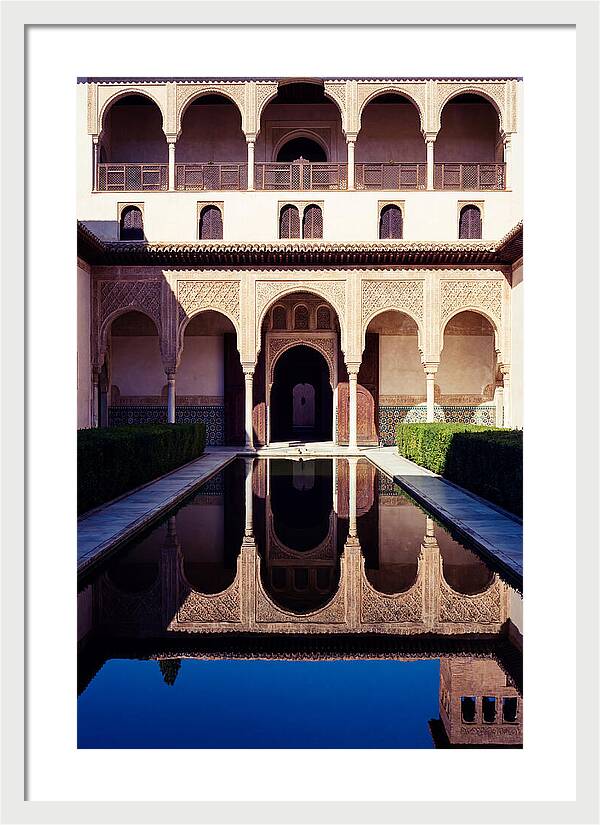 Reflections In The Court Of Myrtles