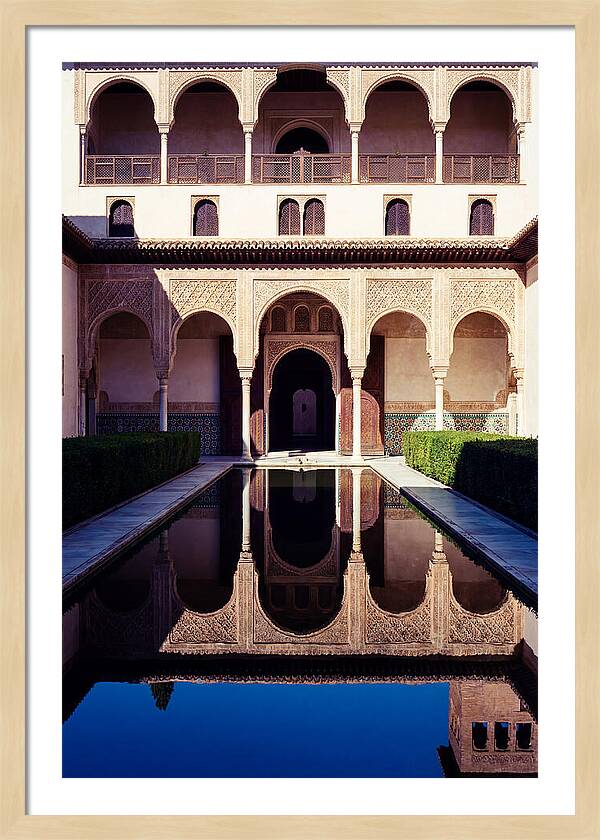 Reflections In The Court Of Myrtles