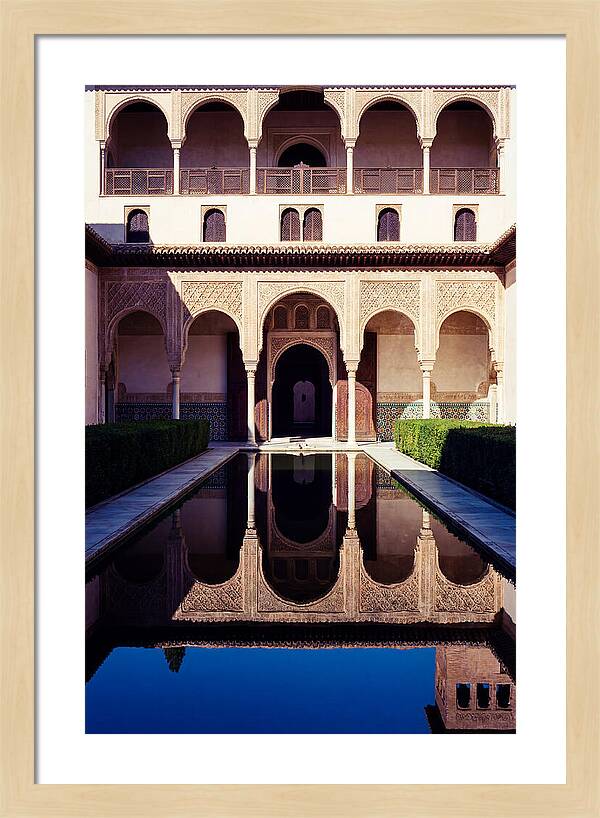 Reflections In The Court Of Myrtles
