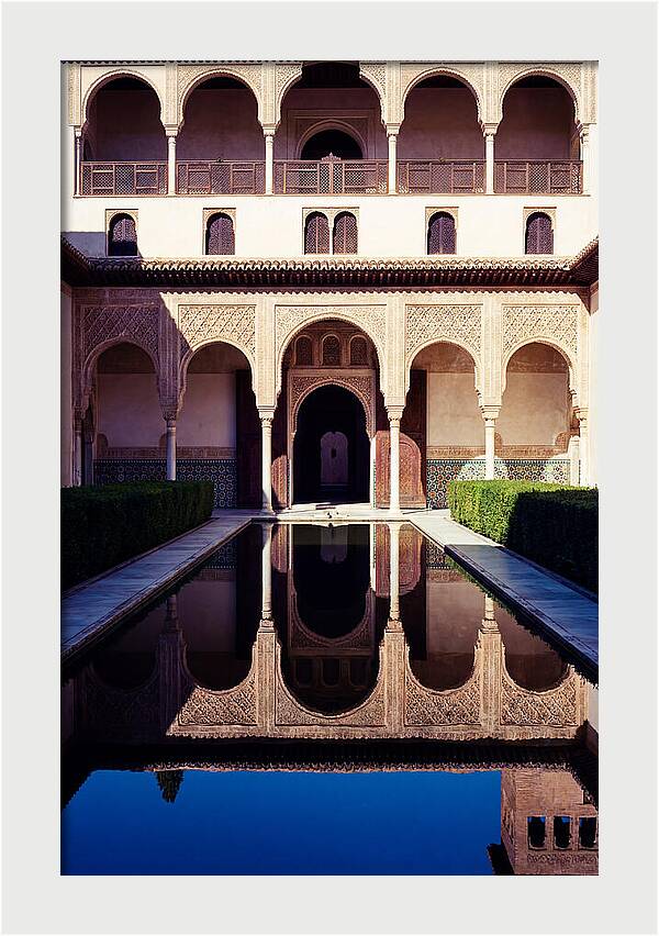 Reflections In The Court Of Myrtles