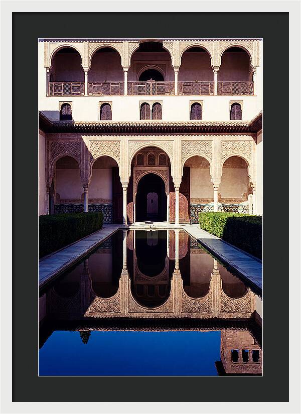 Reflections In The Court Of Myrtles