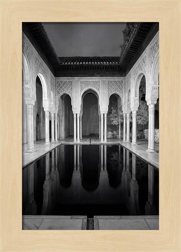 Reflections In The Court Of The Myrtles