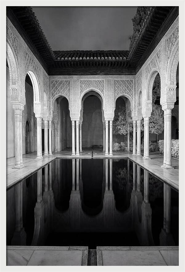 Reflections In The Court Of The Myrtles