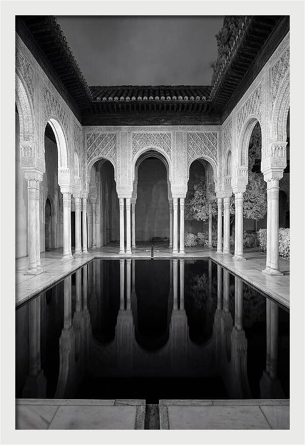 Reflections In The Court Of The Myrtles