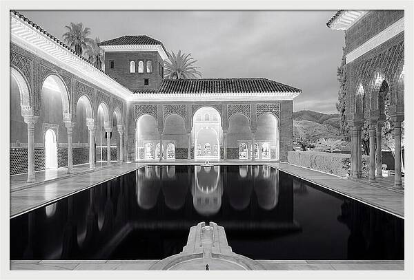 Reflections In The Myrtles Court