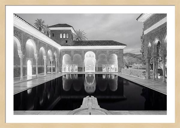 Reflections In The Myrtles Court