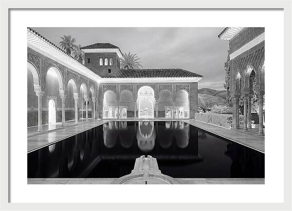 Reflections In The Myrtles Court