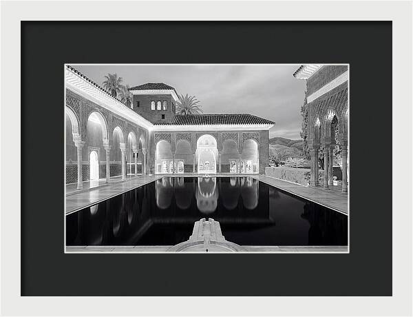 Reflections In The Myrtles Court