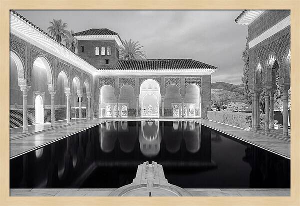 Reflections In The Myrtles Court
