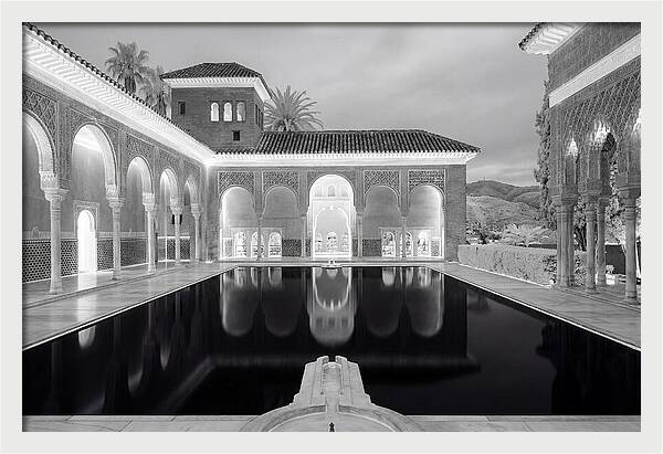Reflections In The Myrtles Court