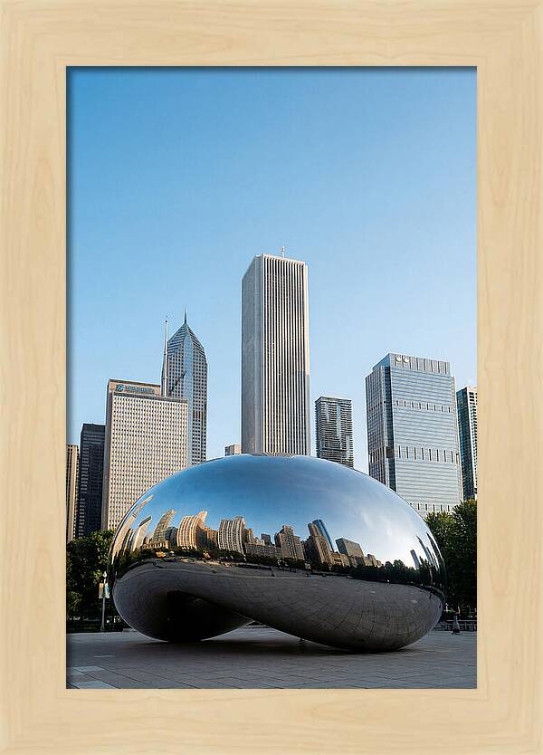 Reflections Of Chicagos Icon