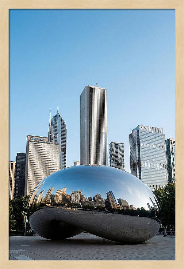 Reflections Of Chicagos Icon