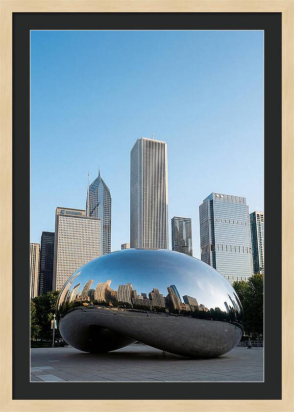 Reflections Of Chicagos Icon