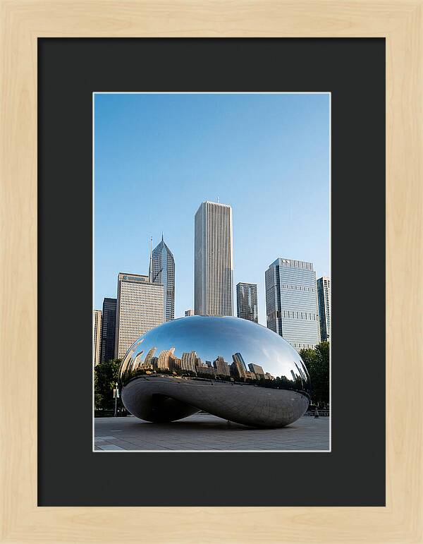 Reflections Of Chicagos Icon