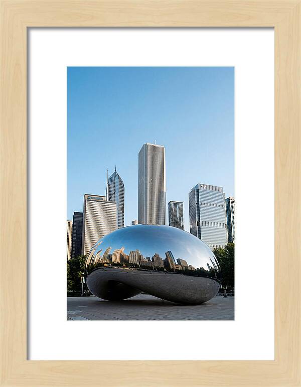 Reflections Of Chicagos Icon