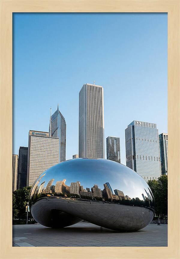 Reflections Of Chicagos Icon
