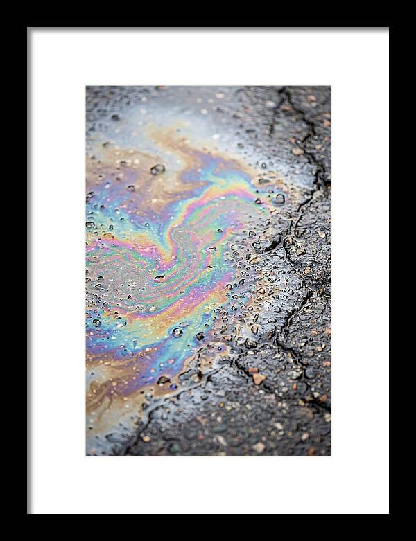 Reflections Of Colorful Serenity