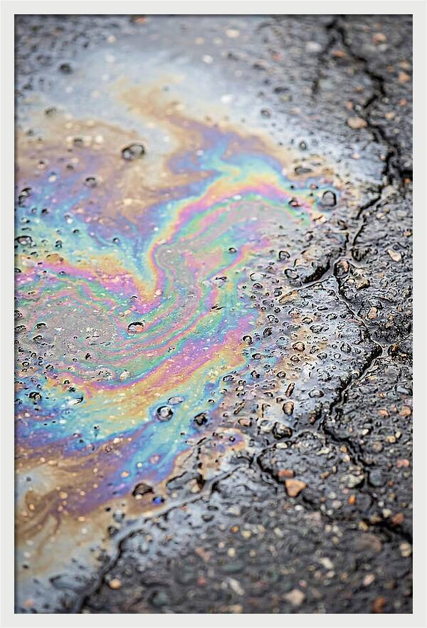 Reflections Of Colorful Serenity
