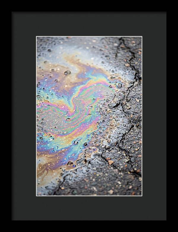 Reflections Of Colorful Serenity